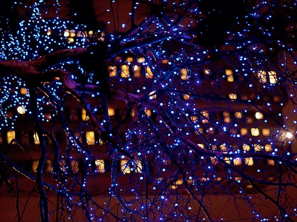 the-city-lights-10